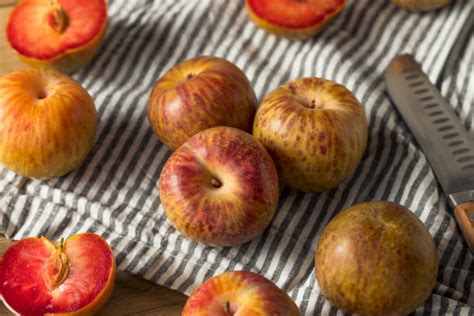 Image result for Red Plumcot