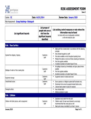 Image result for UK MCA Risk Assessment Form PDF