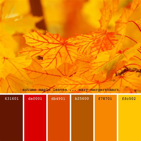 Image result for Fall Colors Hex Code