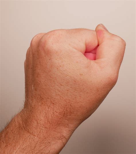 Toradh íomhá ar Artist Hand Reference