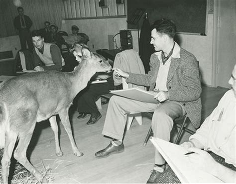 Image result for Frank Thomas Animator