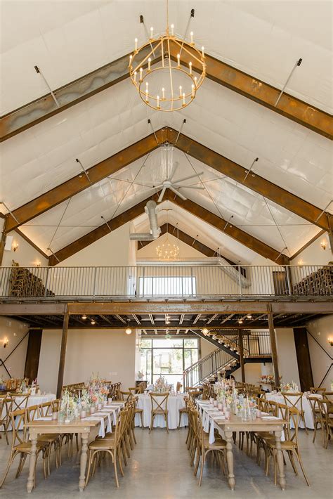 نتيجة الصورة لـ Daisy Stable