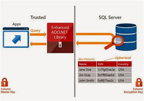 Image result for Microsoft SQL SQL Server Microsoft SQL Edge Ther
