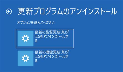 Advance Option Windows 11 に対する画像結果