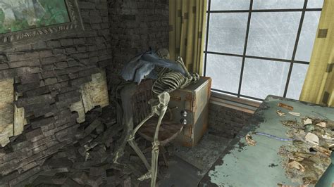 Image result for Fallout 4 Skeleton