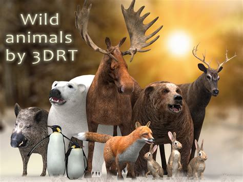 Wild Animals Free 3D Models download - Free3D