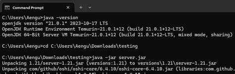 Image result for Internal Command for Minecraft Java