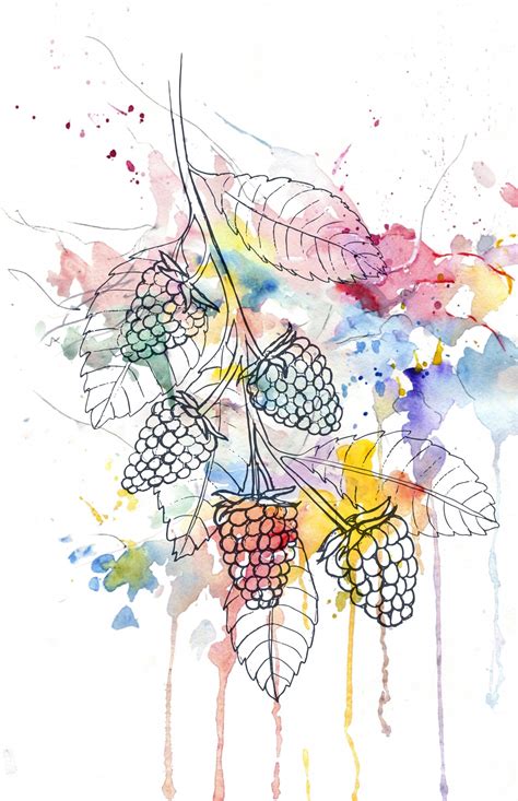 Afbeeldingsresultaten voor Berries Drawing