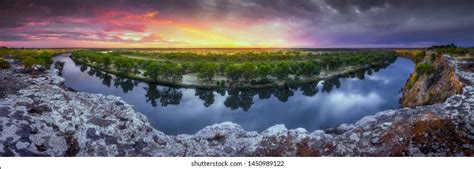 Image result for Murray River Python