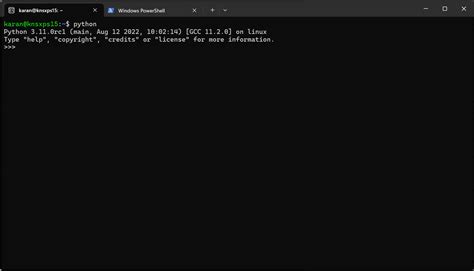 Image result for Absatz Python