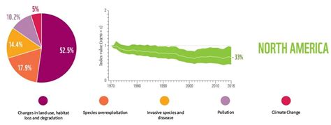 Image result for Biodiversity Loss Graph