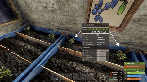 Crossbreeding Rust に対する画像結果