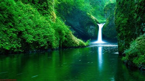 Image result for Nature Background Wallpaper Desktop