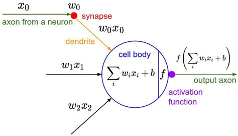 Afbeeldingsresultaten voor Neuron in Deep Learning