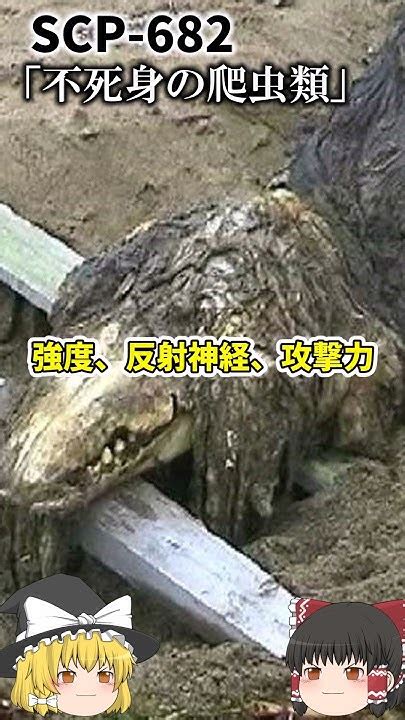 SCP 642 に対する画像結果