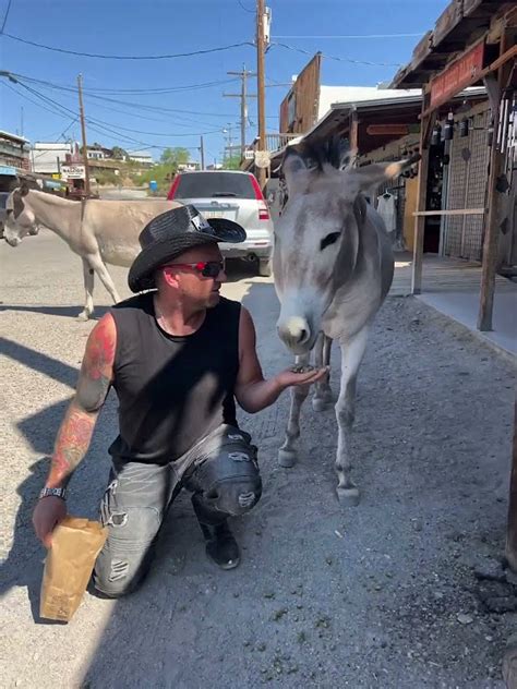 Image result for Yes Mam Cowboy