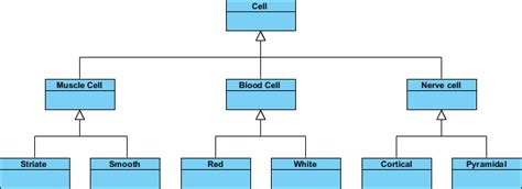 Toradh íomhá ar Class Diagram Inheritance Symbols