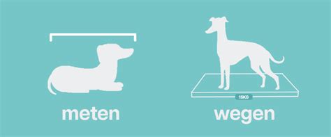 Image result for Meten Wegen