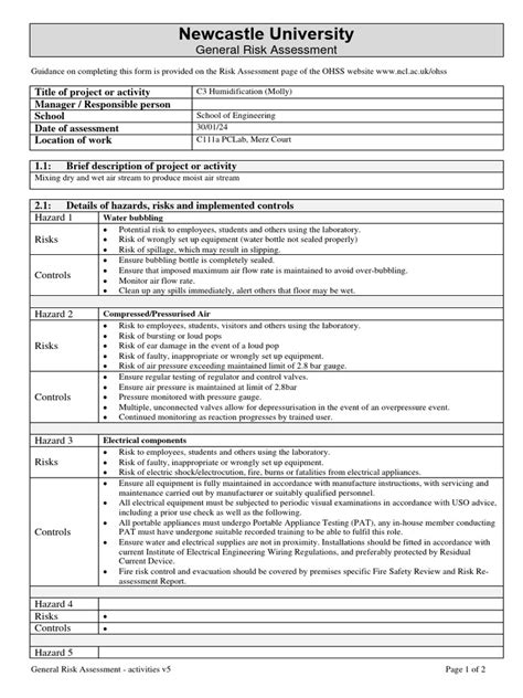 Image result for UK MCA Risk Assessment Form PDF