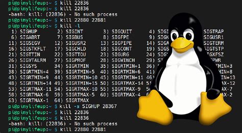 Image result for Kill Command Linux