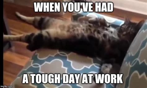 Image result for After That It Gets Difficult Meme