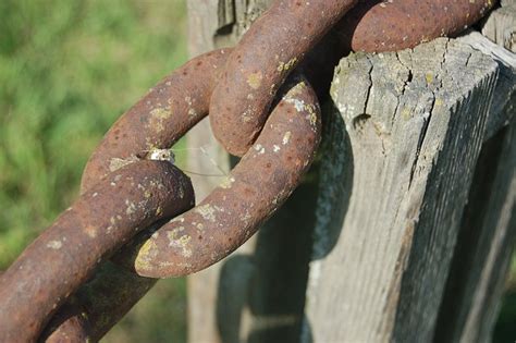 Image result for Remove Rust Chain