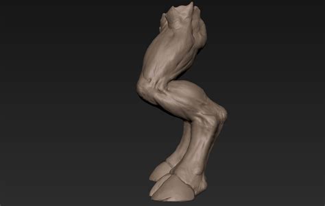 Image result for Creature Legs Reference 3D Model