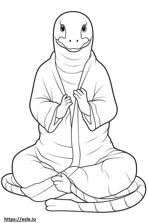 Afbeeldingsresultaten voor Esle If Python