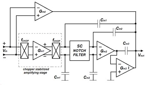 Image result for Notch Filter Amplifier