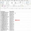How to Sort Excel Column by Domain Name に対する画像結果
