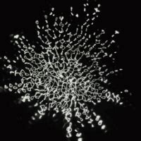 Bildergebnis für Cymatics GIF