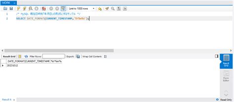 SQL*Plus Date Format に対する画像結果