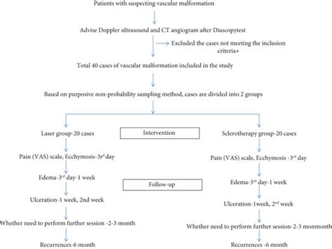 Image result for Research Protocol Flow Chart