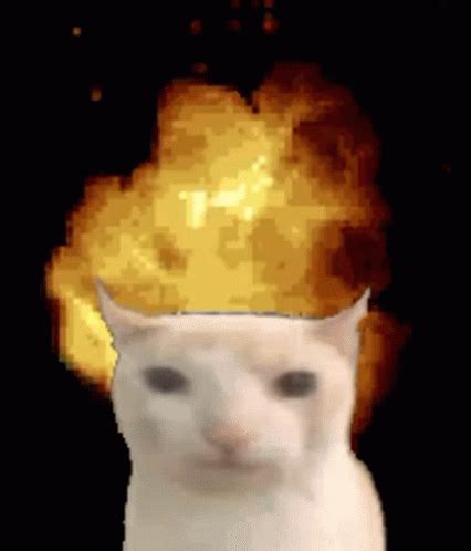 Image result for Nuke Explosion Cat Face Meme