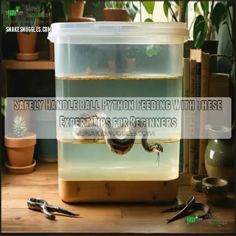 Afbeeldingsresultaten voor Wooden Ball Python Tank