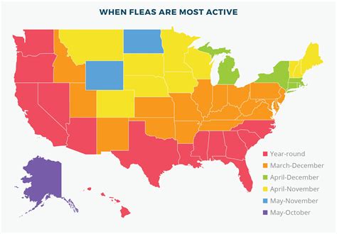 Image result for Flea Map Code