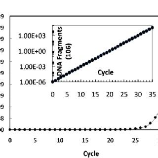 Toradh íomhá ar PCR Machine Diagram