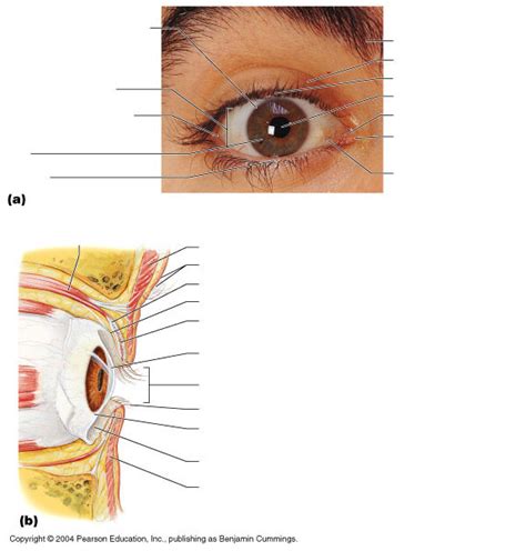 Image result for Excel Eye Diagram