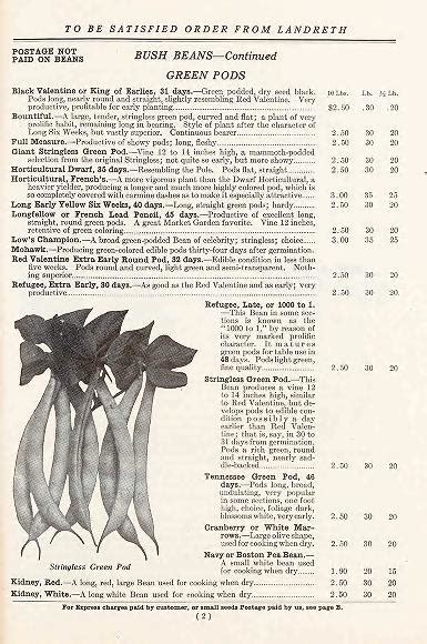 Landreth Stringless Bush Beans に対する画像結果