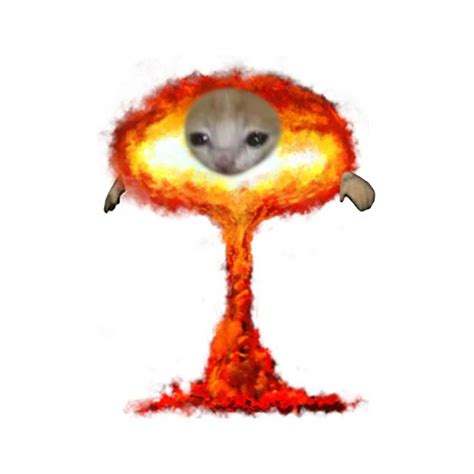 Image result for Nuke Explosion Cat Face Meme