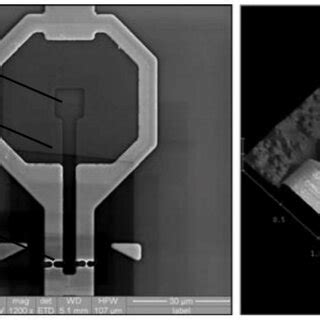 Toradh íomhá ar Squid Microscopy