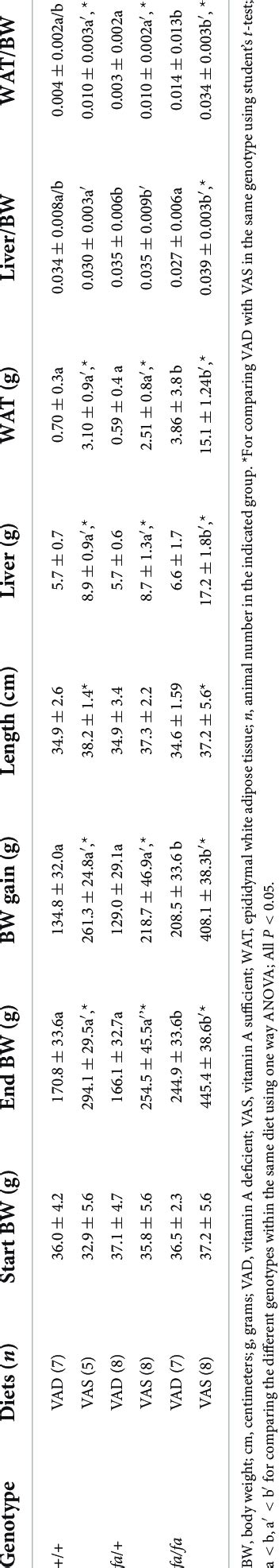 Afbeeldingsresultaten voor Wat Adipose Tissue