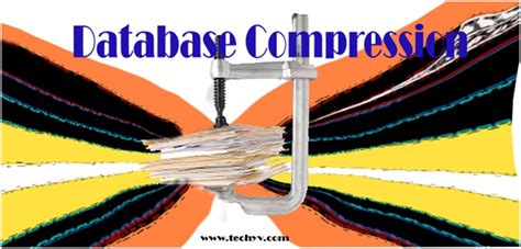 Image result for Constarints Compression in DBMS