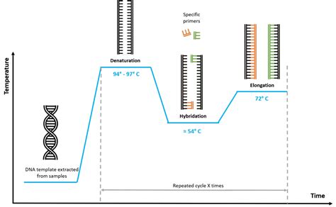 Toradh íomhá ar PCR Machine Diagram