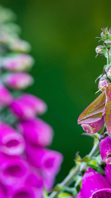 Image result for Bing Web Search API