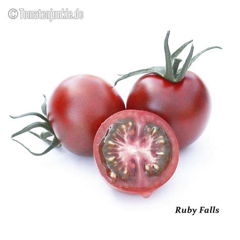 Ruby Falls in January に対する画像結果