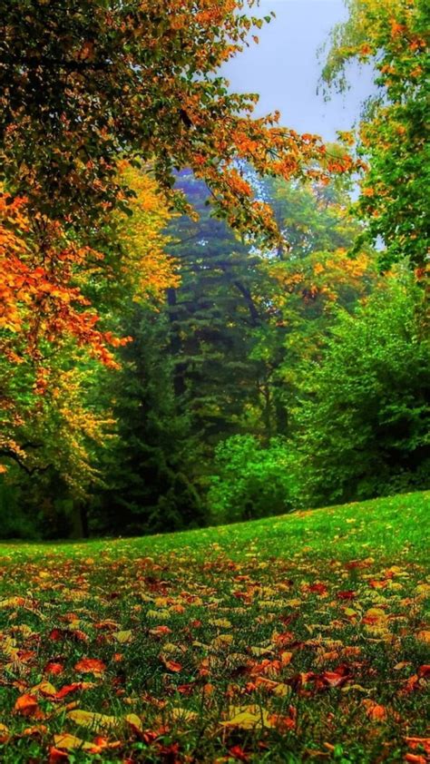 Image result for Computer Desktop Wallpaper HD