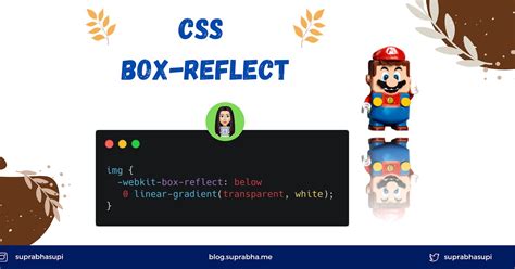 WebKit Box Reflect CSS에 대한 이미지 결과