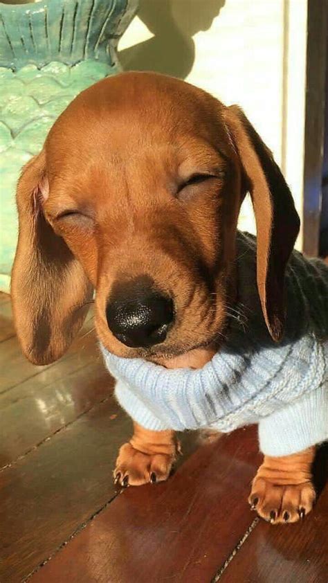 Warming up under the sun - 9GAG