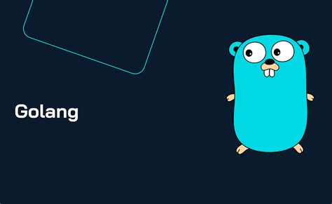 Image result for Golang Startup Flow